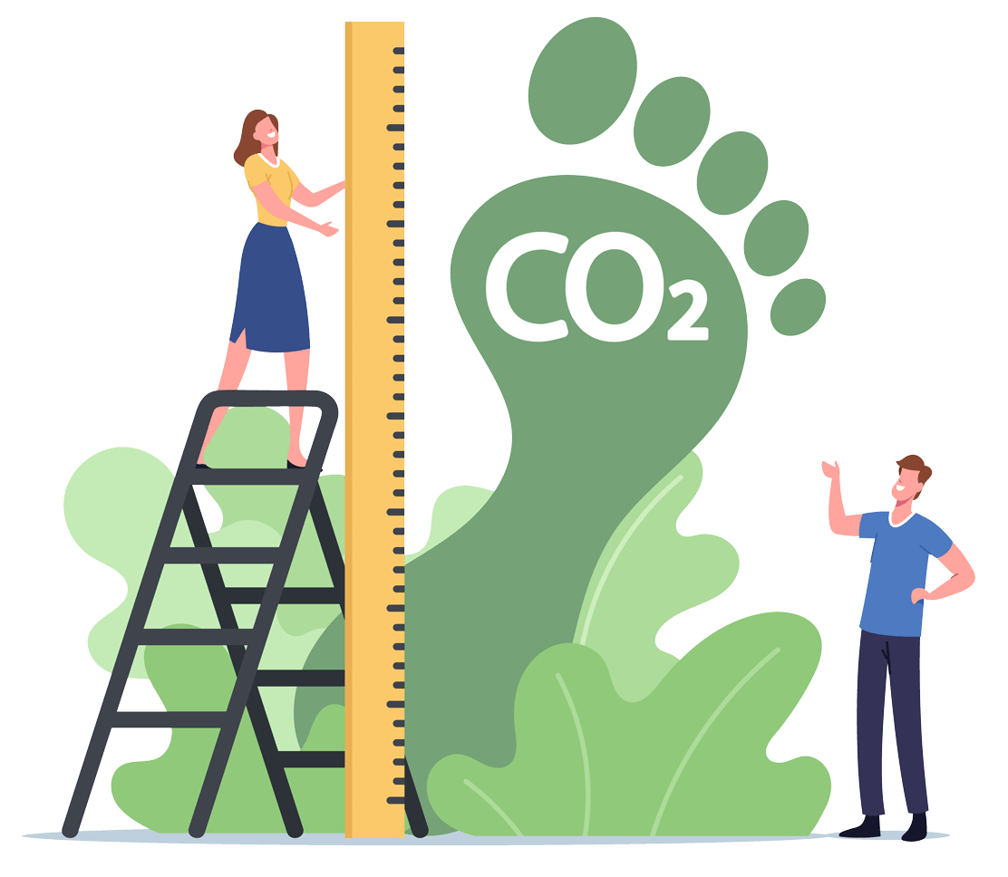 offset carbon footprint
