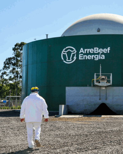 LEAF x ArreBeef Energy