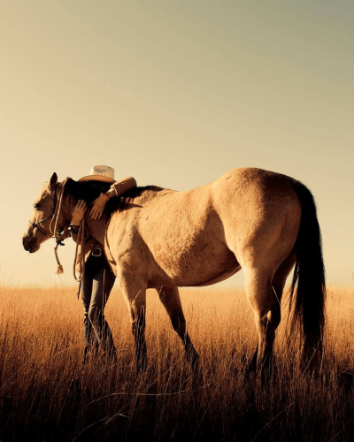 LEAF x Vista Caballo